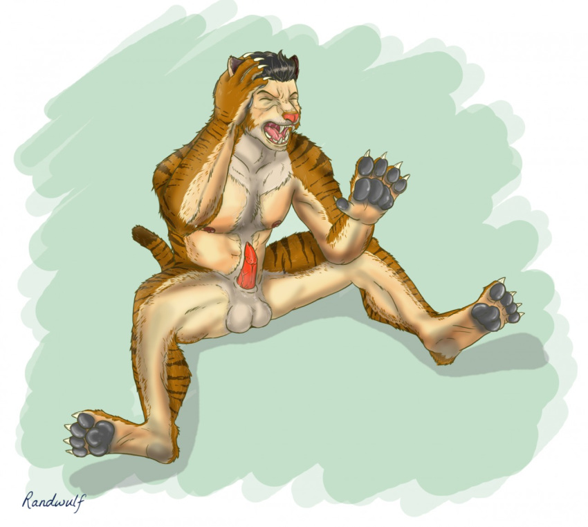 animal_genitalia animal_penis anthro balls claws erection felid feline_penis feral genitals human male mammal mid_transformation nude oldwerewolf pantherine pawpads penis sheath sitting snout soles solo tiger transformation