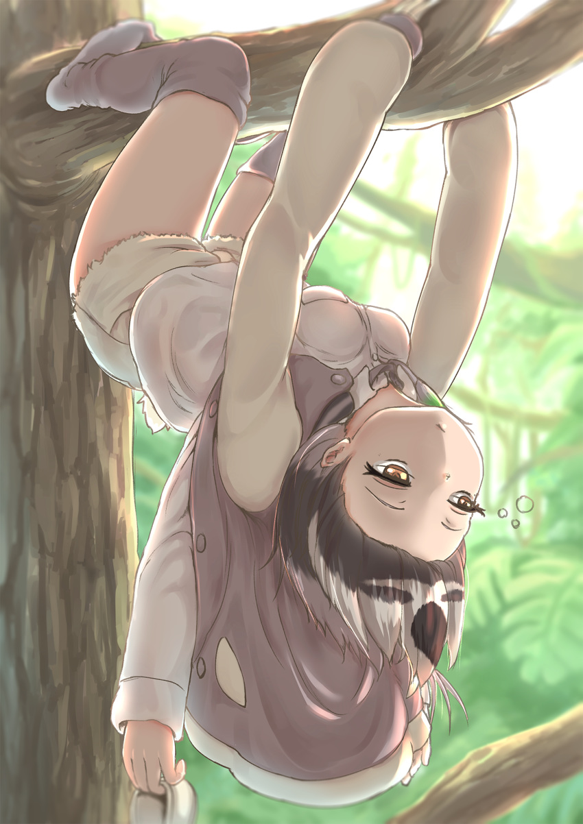 1girl :/ black_hair buttons closed_mouth cutoffs day forehead grey_hair half-closed_eyes hanging highres holding holding_shoes in_tree jacket kemono_friends long_sleeves loose_thighhigh multicolored_hair okyao open_clothes open_jacket outdoors outstretched_arms shirt shoes shoes_removed short_hair short_shorts shorts sleepy sloth_(kemono_friends) sloth_girl sloth_tail solo tail thighhighs tree tree_branch unbuttoned upside-down white_hair yellow_eyes