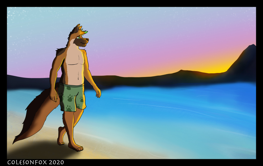 absurd_res anthro beach canid canine canis clothed clothing colesonfox domestic_dog fur hi_res lean_muscle male mammal sea seaside simple_background solo water