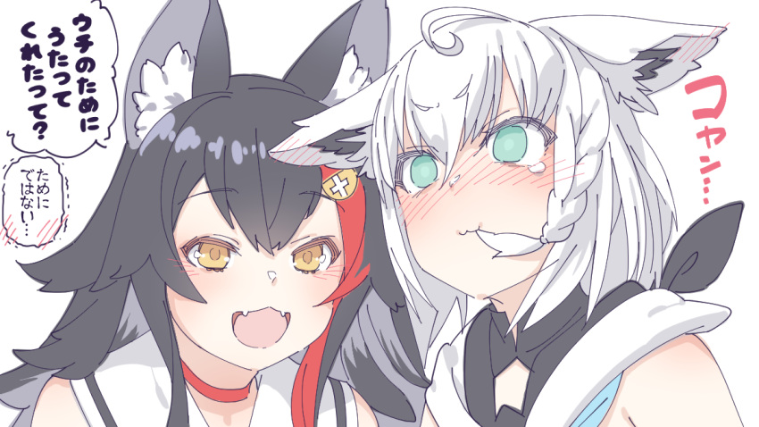 2girls ahoge animal_ear_fluff animal_ears bangs bare_shoulders black_hair blank_eyes blush chinese_commentary choker commentary_request eyebrows_visible_through_hair fangs fox_ears fox_girl green_eyes hair_between_eyes hair_in_mouth hair_ornament hairclip hololive long_hair looking_at_another multicolored_hair multiple_girls ookami_mio open_mouth red_choker red_hair shirakami_fubuki sidelocks simple_background tataki_tuna translation_request two-tone_hair upper_body virtual_youtuber white_background white_hair white_hoodie wolf_ears wolf_girl yellow_eyes