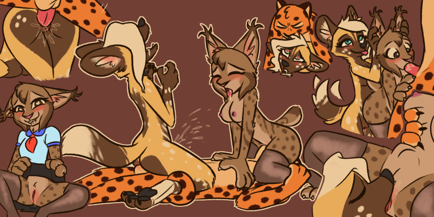 &lt;3 &lt;3_eyes 2020 2:1 african_wild_dog anthro anthro_on_anthro anthro_penetrated anthro_penetrating anthro_penetrating_anthro balls blep blush breasts brown_background brown_body brown_fur canid canine cheek_tuft cheetah crossgender cunnilingus ear_tuft erection eyes_closed facesitting facial_tuft felid feline fellatio female female_penetrated ftm_crossgender fur genitals group group_sex head_tuft hi_res inner_ear_fluff lynx male male/female male_penetrating male_penetrating_female mammal marc_(theblueberrycarrots) milo_(juantriforce) mtf_crossgender multiple_positions nipples oral orange_body orange_fur penetration penile penile_penetration penis pink_penis presenting presenting_pussy pussy sex simple_background stephie_(fraydia1) theblueberrycarrots threesome tongue tongue_out tuft vaginal vaginal_penetration