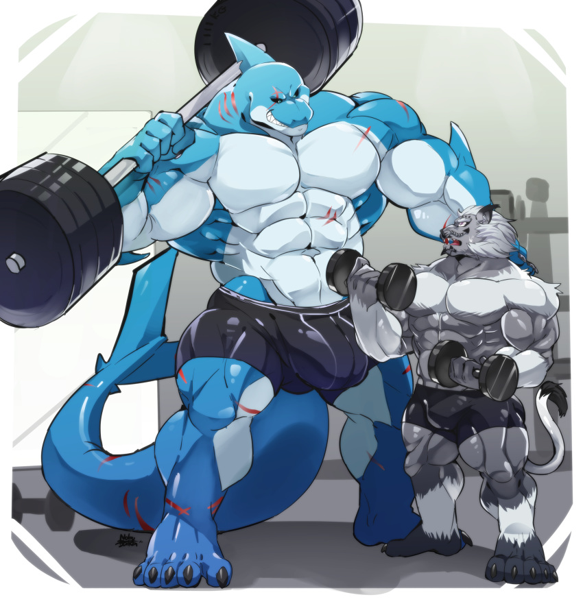 2020 5_fingers 5_toes anthro barbell big_bulge big_muscles black_claws black_nose black_sclera blue_body blue_eyes blue_skin bottomwear bulge claws clothed clothing dumbbell duo exercise feet felid final_fantasy final_fantasy_xiv fingers fish fur grey_body grey_fur grin gym hi_res hrothgar huge_bulge huge_muscles humanoid_feet humanoid_hands lyga male male/male mammal marine multicolored_body multicolored_fur muscular muscular_anthro muscular_male nobu_baka plantigrade purple_eyes scar shark shorts size_difference smile square_enix toes topless two_tone_body two_tone_fur video_games weightlifting weights white_body white_skin workout