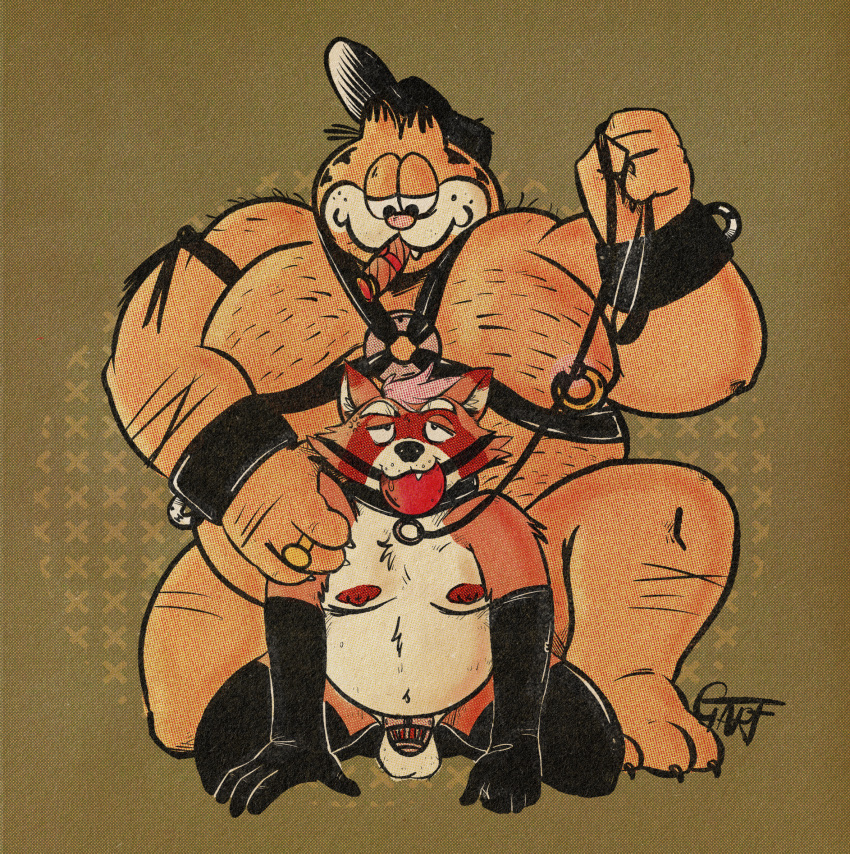 anthro armwear ball_gag balls barazoku barefoot bdsm belly big_dom_small_sub body_hair bondage bound brown_body brown_fur chastity_cage chastity_device chest_hair cigar clothing collar crouching duo fur gag gagged garfield_(series) garfield_the_cat garfoffinland genitals grayson_(ggponk) hair harness hat headgear headwear hi_res humanoid larger_male leash legwear male male/male mammal moobs nipple_piercing nipples nude orange_body overweight overweight_male penis piercing pink_hair procyonid raccoon ring simple_background size_difference smile smoking whip