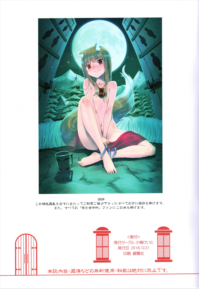 1girl absurdres animal_ears anklet barefoot between_legs breasts brown_hair collarbone fisheye full_moon hair_censor hair_over_breasts hand_between_legs highres holo jewelry koume_keito long_hair looking_at_viewer moon navel night nude official_art outdoors scan shiny shiny_hair sitting small_breasts solo spice_and_wolf straight_hair tail wolf_ears wolf_girl wolf_tail