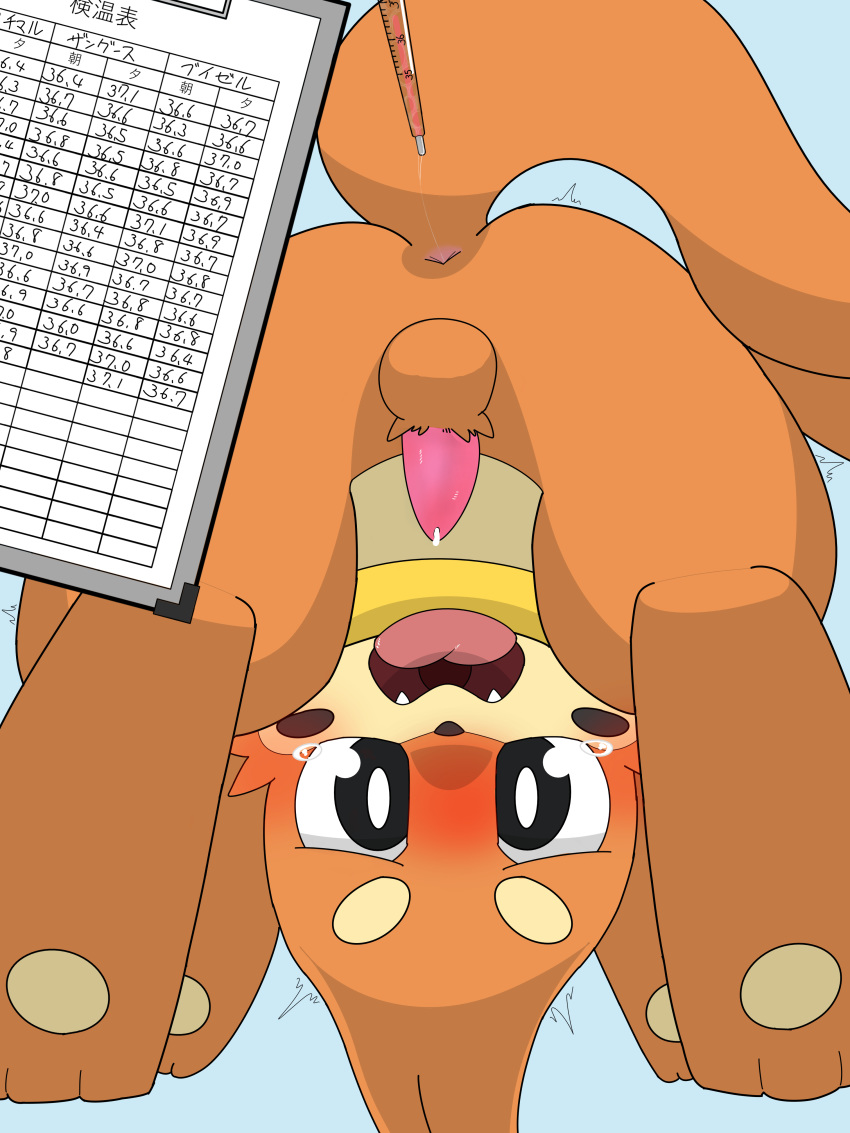 3:4 absurd_res anal buizel genitals hi_res male medical_instrument medical_thermometer nintendo nogisuke523 penis pok&eacute;mon pok&eacute;mon_(species) rectal_thermometer scientific_instrument semi-anthro solo thermometer video_games weather_instrument