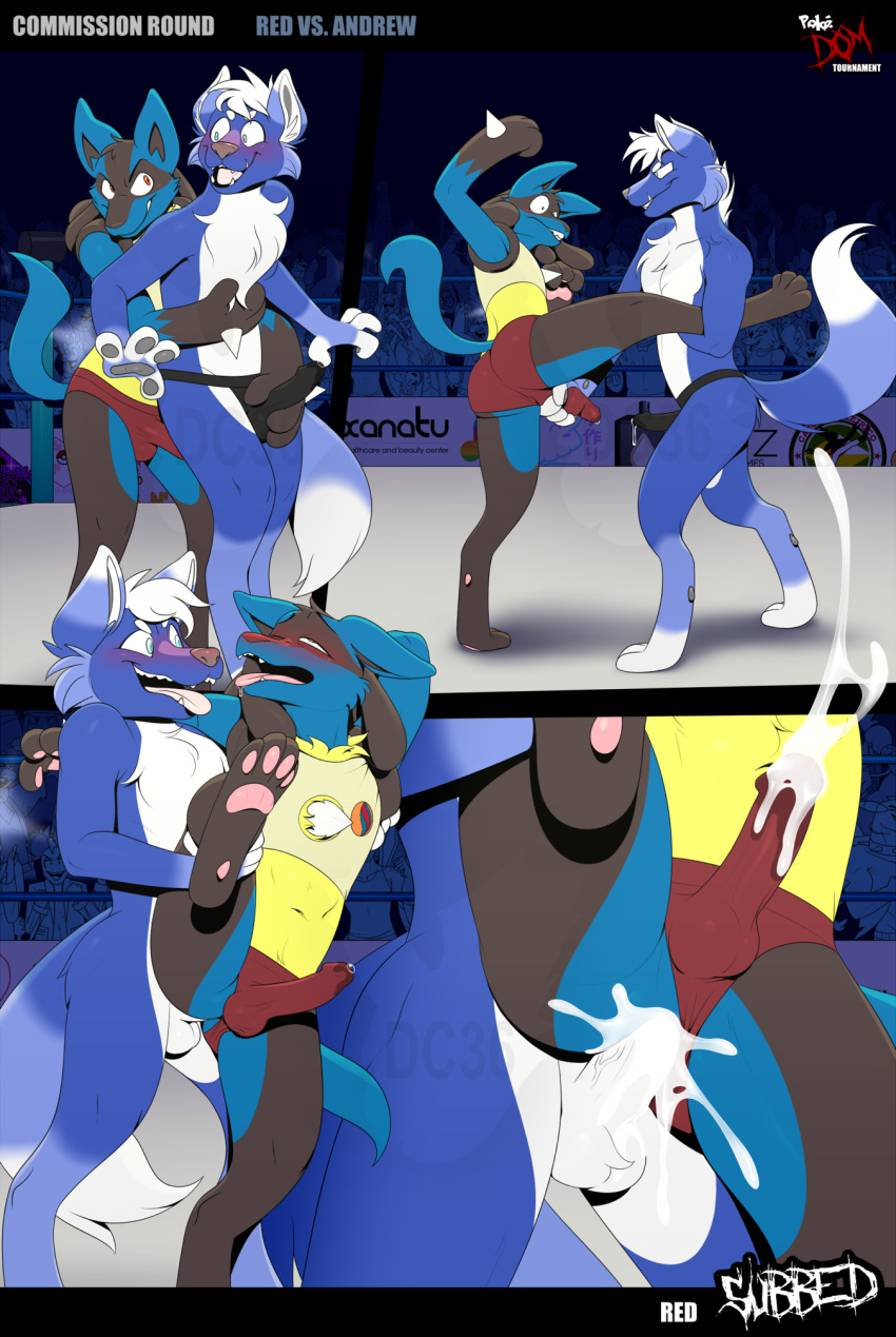 2020 anal anal_penetration anthro anthro_on_anthro anthro_penetrated anthro_penetrating anthro_penetrating_anthro anthrofied audience being_watched black_body black_fur black_nose blue_body blue_clothing blue_eyes blue_fur blue_underwear blush bodily_fluids braixen bulge_grab canid canine canis clothed clothing clothing_aside comic commission_art competition crop_top crowd cum cum_in_ass cum_inside cum_through_clothing dipstick_ears dipstick_tail dragonclaw36 duo eeveelution ejaculation erection erection_under_clothing exhibitionism facial_markings fluffy fluffy_tail flygon from_behind_position fur furgonomics gabite genital_fluids genitals girafarig giraffid greninja group hair hands-free head_markings hi_res hug hugging_from_behind hydreigon jackal leg_grab looking_at_another looking_pleasured lucario lycanroc male male/male male_penetrated male_penetrating male_penetrating_male mammal markings mask_(marking) midnight_lycanroc multicolored_body multicolored_ears multicolored_fur multicolored_tail nintendo penetration penile penile_penetration penis penis_grab penis_in_ass pink_nose pok&eacute;mon pok&eacute;mon_(species) raised_leg red_clothing red_eyes red_underwear scrafty sex sexfight sexual_competition shirt smeargle spandex standing standing_sex sylveon tan_body tan_fur tight_clothing tongue tongue_out topwear two_tone_body two_tone_ears two_tone_fur underwear underwear_aside video_games watermark wet wet_clothing white_body white_ears white_fur white_hair white_tongue wolf wrestling