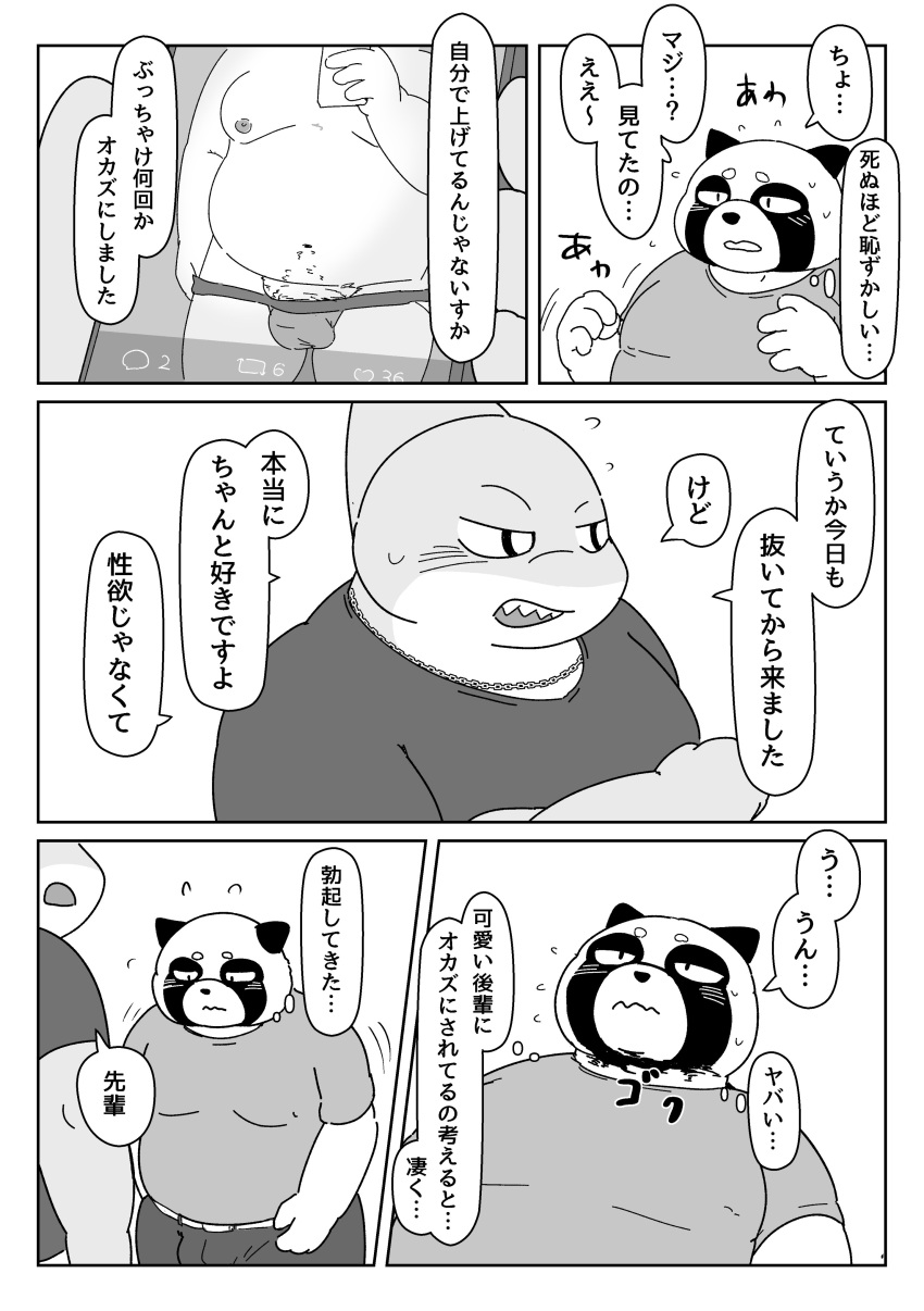 2020 absurd_res anthro barely_visible_genitalia belly blush bonedra bottomwear bulge canid canine clothing comic duo fish genitals hi_res japanese_text kemono male male/male mammal marine monochrome moobs nipples overweight overweight_male pants raccoon_dog shark shirt tanuki text topwear underwear