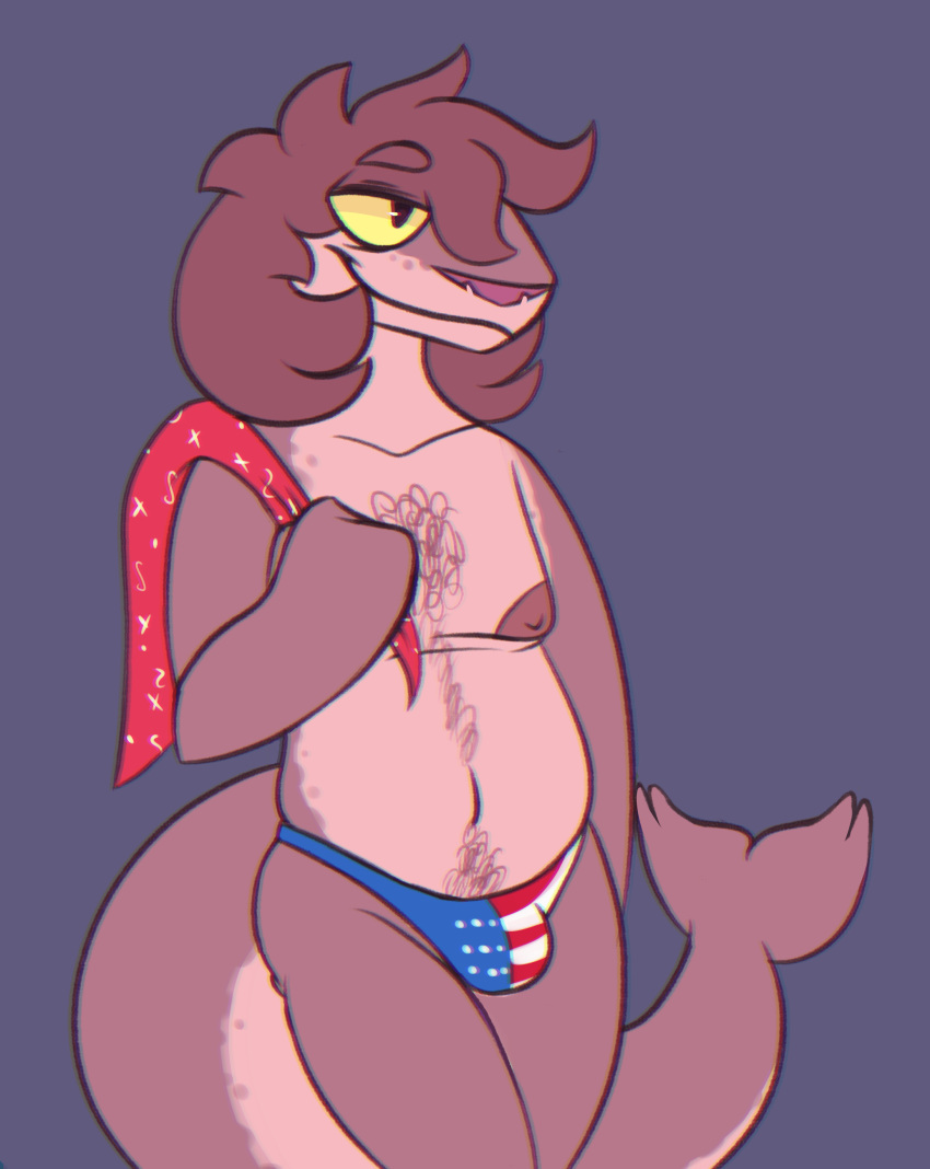 absurd_res anthro body_hair bulge chest_hair clothed clothing flag hair hi_res leopard_seal male mammal marine navel nipples partially_clothed pinniped seal slightly_chubby smile solo stars_and_stripes underwear united_states_of_america unknown_artist yellow_sclera