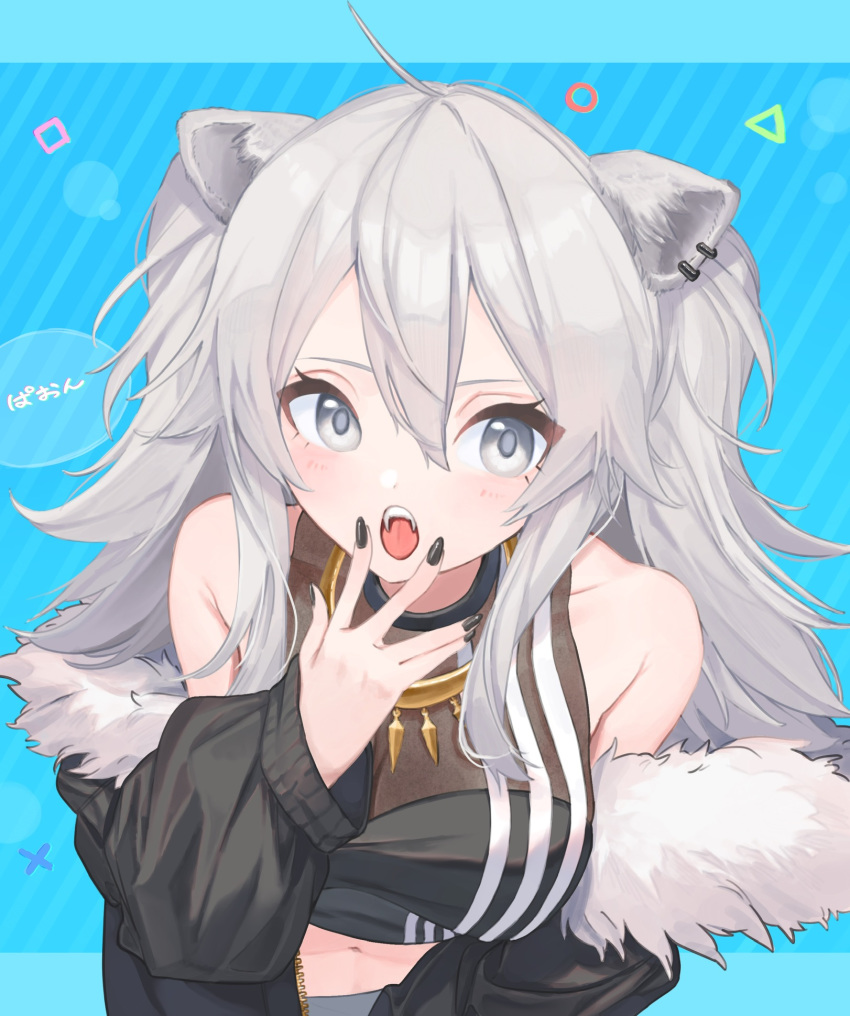 1girl ahoge animal_ears black_jacket black_nails black_shirt blue_background blush breasts character_name commentary earrings eyelashes fangs from_above fur-trimmed_jacket fur_trim hair_between_eyes hand_to_own_mouth highres hololive jacket jewelry lion_ears long_hair looking_at_viewer medium_breasts midriff nail_polish navel necklace off_shoulder open_clothes open_jacket open_mouth seisei_tamago shirt shishiro_botan silver_eyes silver_hair simple_background sleeveless sleeveless_shirt solo upper_body virtual_youtuber