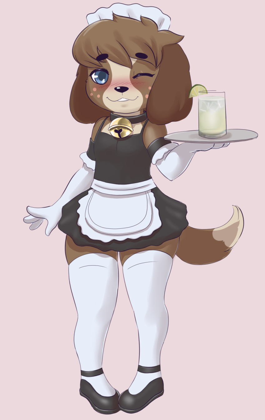 2020 animal_crossing anthro armwear bell bell_collar beverage blue_eyes blush canid canine canis clothed clothing collar crossdressing digby_(animal_crossing) digital_media_(artwork) dipstick_tail domestic_dog elbow_gloves footwear freckles glass gloves handwear hi_res holding_object legwear maid_uniform male mammal mr-shin multicolored_tail nintendo one_eye_closed shih_tzu simple_background smile solo thigh_highs toy_dog uniform video_games wink