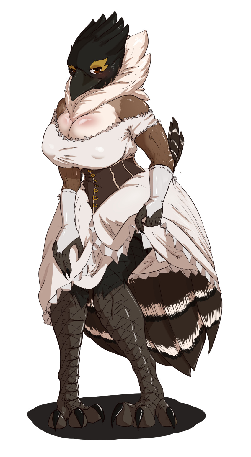 absurd_res anthro avian beak bird bird_feet blush bottomwear breasts cleavage clothed clothing clothing_lift corset dress father_hill feathers female fishnet fishnet_legwear galliform grouse hi_res legwear lingerie non-mammal_breasts phasianid skirt skirt_lift solo tail_feathers talons topwear