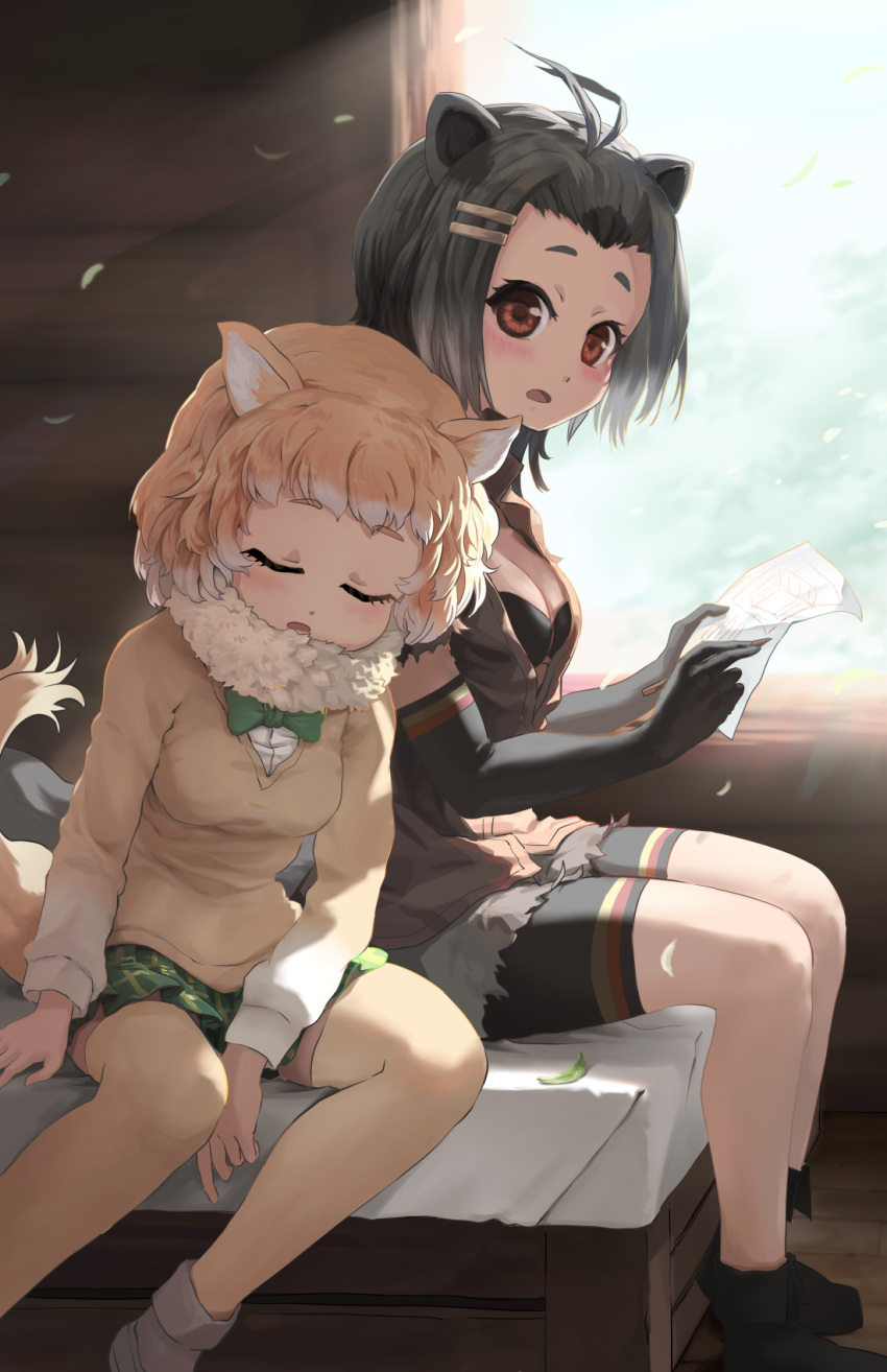 2girls american_beaver_(kemono_friends) animal_ears antenna_hair arm_rest bangs bare_legs beaver_ears beaver_tail bike_shorts bike_shorts_under_shorts black-tailed_prairie_dog_(kemono_friends) black_hair blush bow bowtie bra brown_eyes brown_hair closed_eyes commentary_request cutoffs day elbow_gloves eyebrows_visible_through_hair fur_collar gloves grey_hair hair_ornament hairclip hands_up head_on_another's_shoulder head_on_shoulder highres holding holding_paper holding_pencil indoors kemono_friends leaf leaning_on_person leaning_to_the_side light_brown_hair long_sleeves looking_at_another medium_hair meraton miniskirt multicolored_hair multiple_girls open_mouth paper pencil plaid plaid_skirt prairie_dog_ears prairie_dog_tail shorts shorts_under_shorts side-by-side sitting skirt sleeping sleeping_on_person sleeping_upright sweater tail thighhighs two-tone_hair underwear vest white_hair wind window wooden_pencil zettai_ryouiki