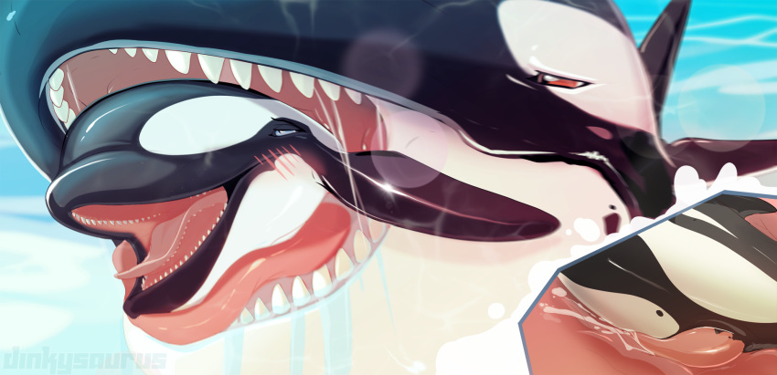 ambiguous_gender anatomically_correct anatomically_correct_genitalia anatomically_correct_penis blush bodily_fluids cetacean cum cum_on_face delphinoid dinkysaurus feral feral_on_feral genital_fluids genitals hi_res male male/ambiguous mammal marine oceanic_dolphin open_mouth orca outside penis sea toothed_whale vore vore_sex water zanii_(dinkysaurus)