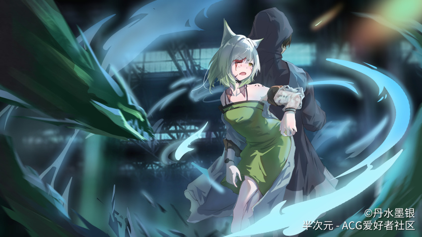 1girl 1other absurdres animal_ears arknights bangs bare_shoulders black_hair black_jacket blood blood_on_face choker coat dan_shuimo_yin detached_sleeves doctor_(arknights) dress green_dress green_hair highres hood hood_up hooded_jacket jacket kal'tsit_(arknights) mon3tr_(arknights) one_eye_closed short_hair watermark yellow_eyes