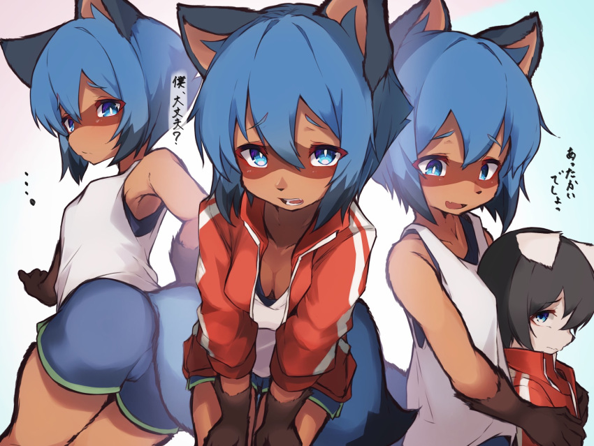 2020 abstract_background anthro blue_bottomwear blue_clothing blue_eyes blue_hair blue_shorts bottomwear brand_new_animal brown_body brown_fur canid canine clothed clothing digital_media_(artwork) female fur hair hi_res jacket japanese_text looking_at_viewer mammal michiru_kagemori open_mouth raccoon_dog red_jacket shirt shorts simple_background smile studio_trigger tabhead tanuki text topwear translation_request white_clothing white_shirt white_topwear