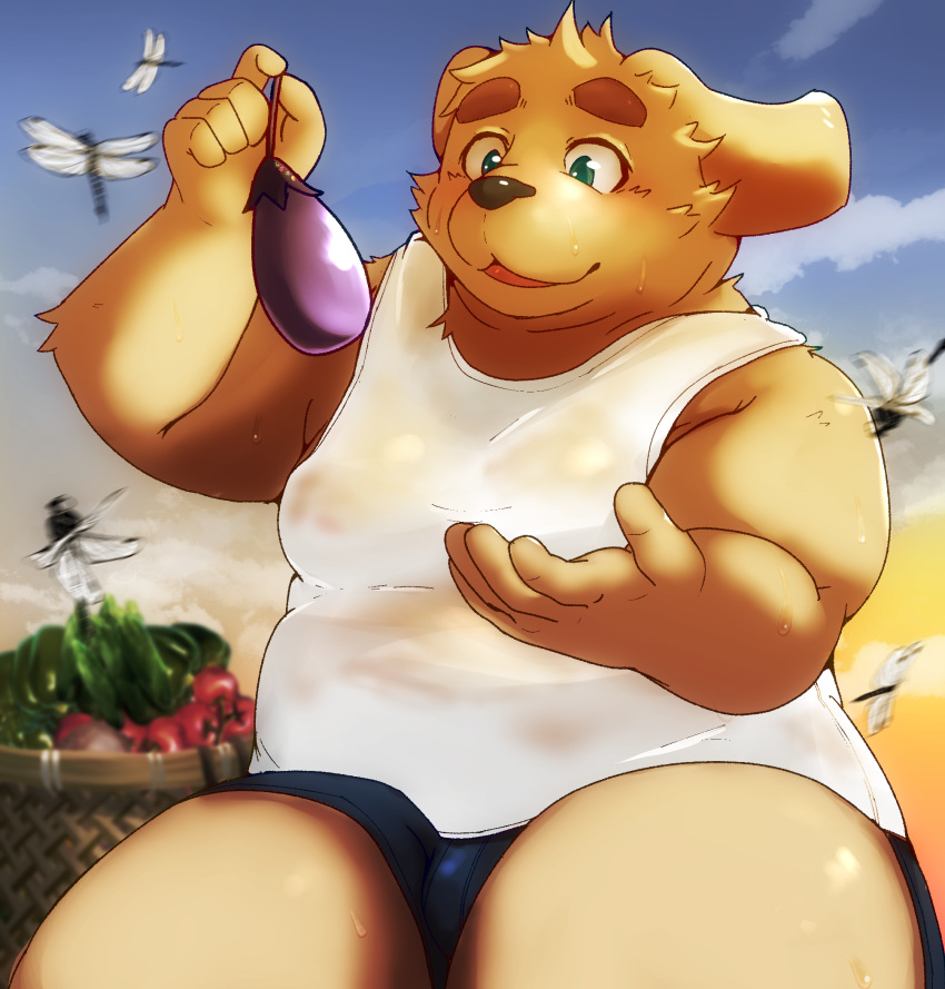 2020 anthro belly blush bottomwear canid canine canis clothing domestic_dog eggplant food fruit hi_res humanoid_hands kemono male mammal outside overweight overweight_anthro overweight_male plant shirt shorts solo tank_top topwear yukio_ammy