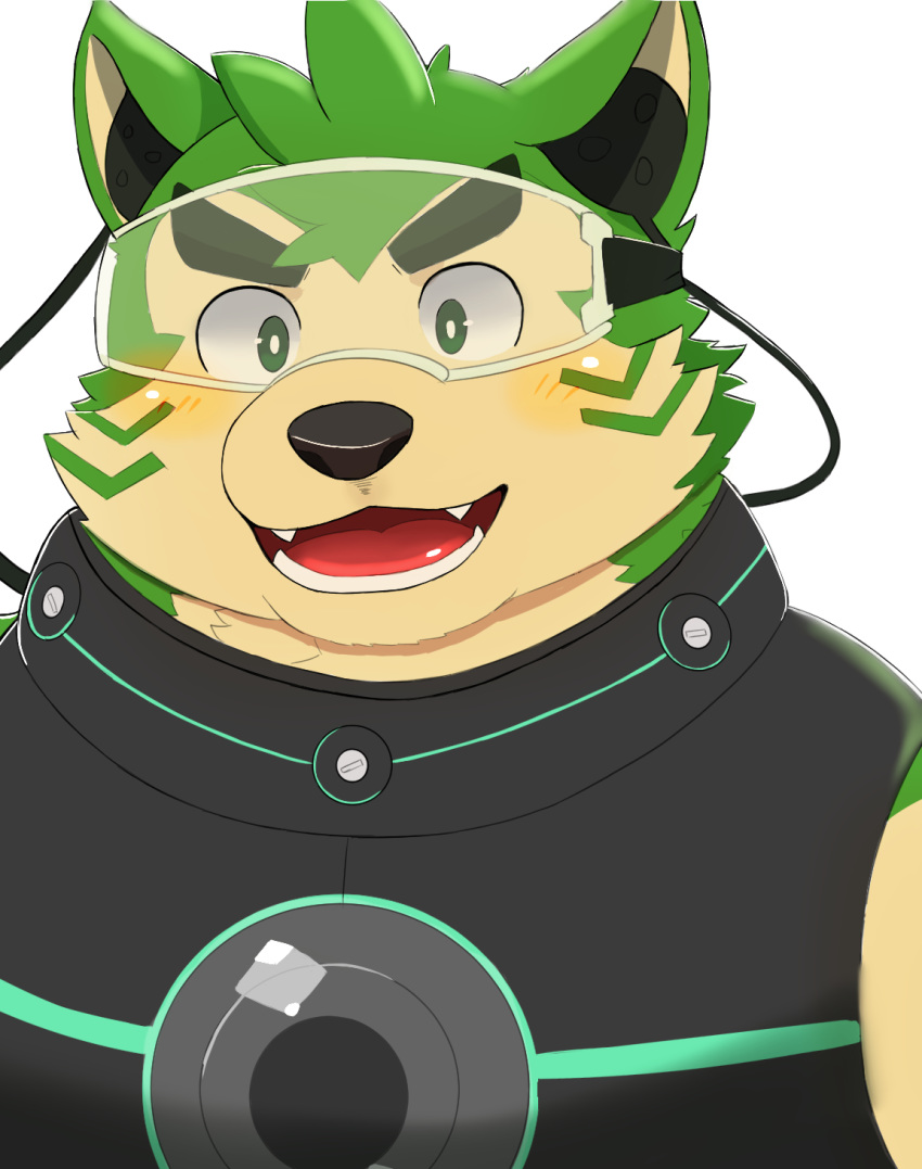 2020 anthro black_nose blush canid canine canis clothed clothing damekemo domestic_dog fur green_body green_fur hi_res kemono live-a-hero male mammal mokdai portrait simple_background solo video_games visor white_background