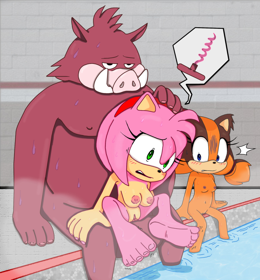 amy_rose anatomically_correct anatomically_correct_genitalia anatomically_correct_penis anthro badger bodily_fluids colored_sketch eulipotyphlan excito exhibitionism female forced furrymang453 genitals group hedgehog hi_res male male/female mammal mustelid musteline penis rape sonic_boom sonic_the_hedgehog_(series) sticks_the_jungle_badger suid suina sweat warthog