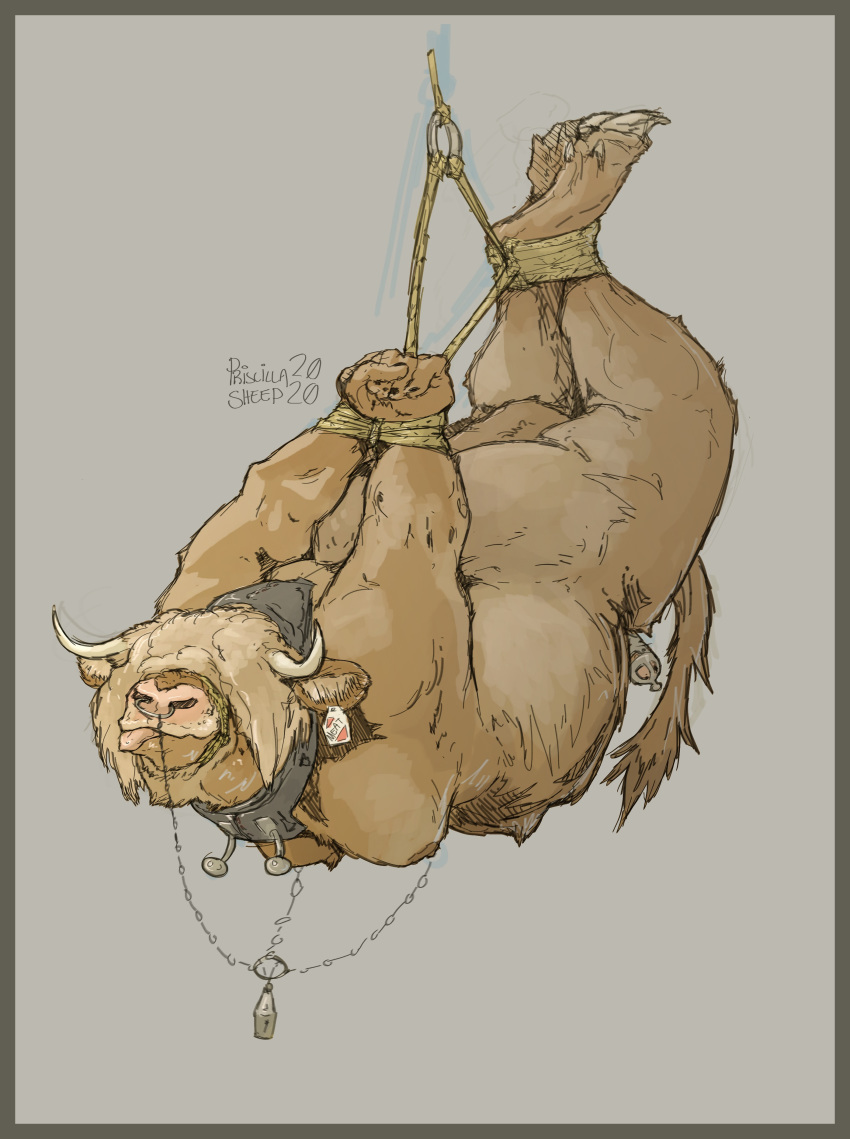 absurd_res anthro bdsm bondage bound bovid bovine cattle chastity_cage chastity_device collar facial_piercing genitals hi_res highland_cattle hogtied horn male mammal moobs nipples nose_piercing nose_ring nude obese obese_anthro obese_male overweight overweight_anthro overweight_male penis piercing priscillasheep rope rope_bondage solo submissive submissive_male suspension suspension_bondage