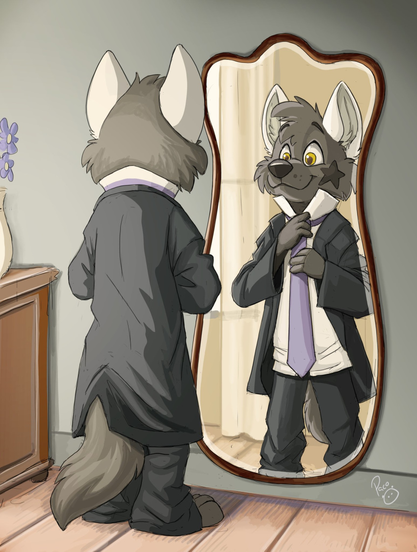 3_toes 4_fingers anthro barefoot black_bottomwear black_clothing black_coat black_pants bottomwear brown_pupils business_suit cabinet canid canine canis cheek_tuft clothed clothing coat curtains day detailed_background digital_media_(artwork) eyebrows facial_markings facial_tuft feet fingers floor flower fluffy fluffy_tail fully_clothed fur furniture grey_body grey_eyebrows grey_fur grey_markings grey_nose hair head_markings head_tuft hi_res holding_clothing inside iris looking_at_mirror looking_at_object looking_at_reflection looking_at_self male mammal markings mirror necktie pandapaco pants plant plantigrade prick_ears pupils purple_necktie reflection shaded shirt signature snout solo standing star_(shape) star_marking suit toes topwear tuft vase wall_(structure) white_clothing white_ears white_shirt white_topwear window wolf wooden_floor yellow_eyes