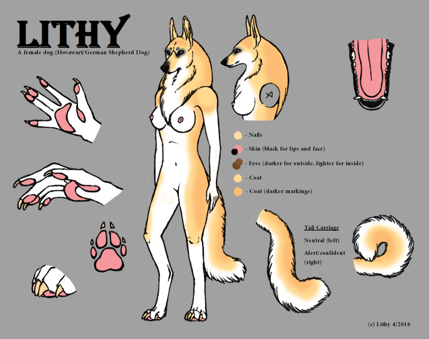 2016 anthro black_body black_fur breasts brown_eyes canid canine canis claws cross_section curled_tail curvy_figure domestic_dog english_text female fur german_shepherd gradient_fur grey_background herding_dog hovawart hybrid lithy_(artist) lithy_(fursona) mammal model_sheet navel nipples nude pastoral_dog pawpads pink_nipples pink_pawpads pink_tongue plantigrade signature simple_background solo tan_body tan_fur text tongue white_body white_fur yellow_body yellow_fur