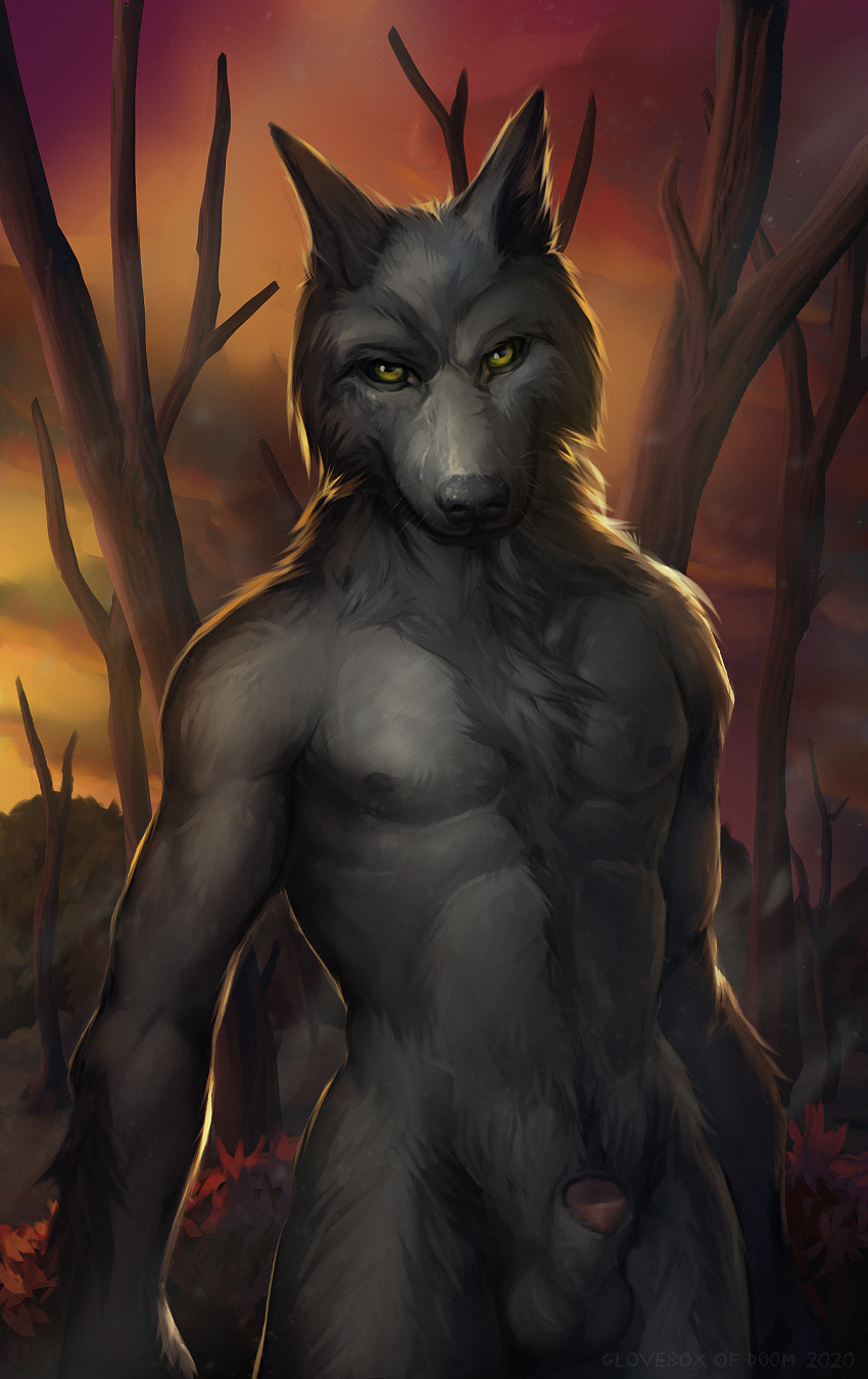 animal_genitalia anthro balls canid canine canis fur genitals gloveboxofdoom hi_res looking_at_viewer male mammal nipples outside penis penis_tip portrait sheath sky solo tree were werecanid werecanine werewolf wolf