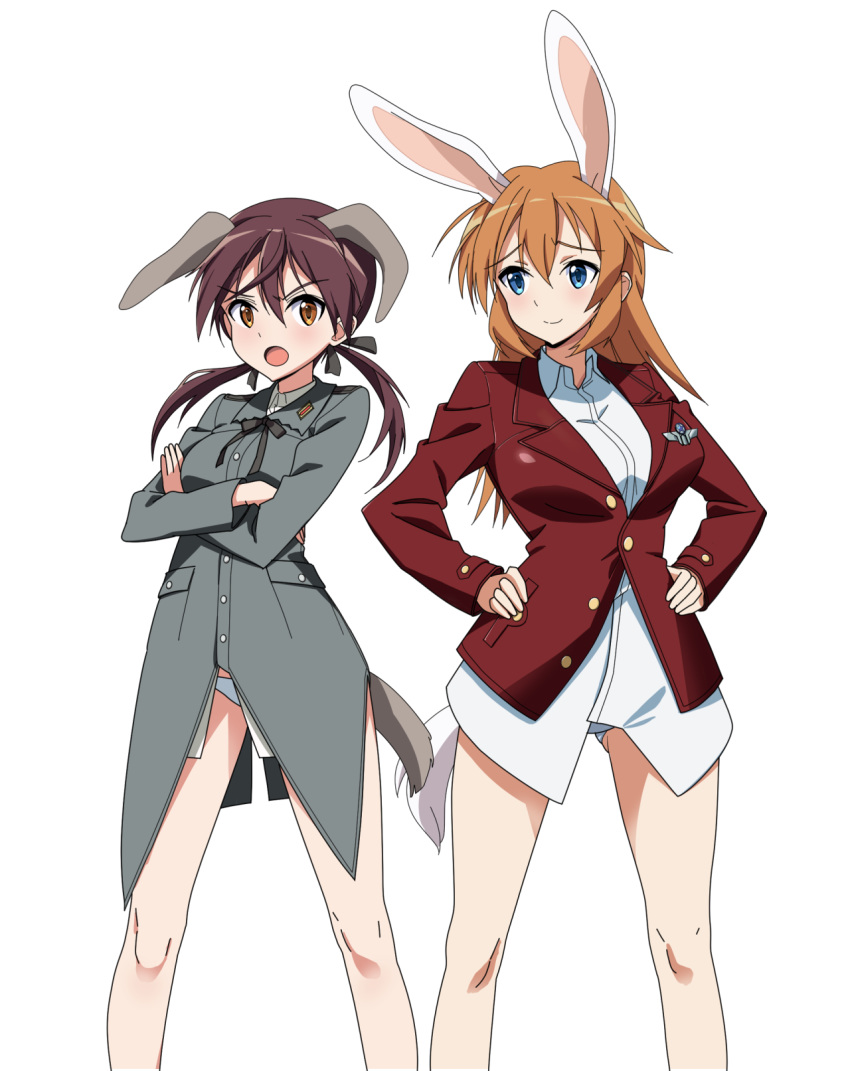 2girls animal_ears blue_eyes blush breasts brown_eyes brown_hair bunny_ears charlotte_e_yeager closed_mouth crossed_arms dog_ears dog_tail eyebrows_visible_through_hair gertrud_barkhorn hair_ornament hair_ribbon hands_on_hips highres kaneko_(novram58) large_breasts looking_at_viewer medium_breasts military military_uniform multiple_girls open_mouth panties ribbon shiny shiny_hair simple_background smile standing strike_witches tail twintails underwear uniform white_background white_panties world_witches_series