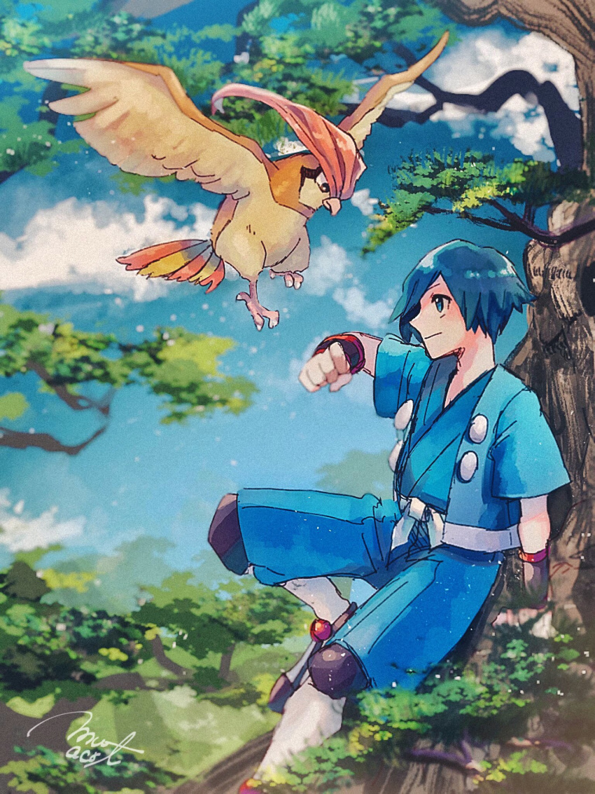 1boy blue_eyes blue_hair blue_jacket blue_shorts blush bracer clenched_hand closed_mouth cloud commentary_request day falkner_(pokemon) gen_1_pokemon hand_up hanenbo highres jacket outdoors pidgeotto pokemon pokemon_(creature) pokemon_(game) pokemon_hgss sash short_hair short_sleeves shorts signature sitting sky tree