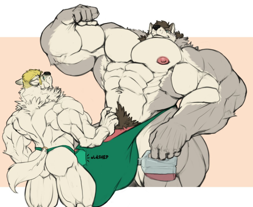 2019 abs anthro back_muscles barazoku biceps big_bulge big_muscles blonde_hair brown_hair bulge butt canid canine canis clothed clothing duo erection erection_under_clothing flexing fur genitals grey_body grey_fur hair huge_bulge huge_muscles humanoid_genitalia humanoid_penis hyper hyper_biceps hyper_bulge hyper_muscles liquid male male/male mammal muscular navel neck_tuft nipples obliques oldshep onomatopoeia pecs penis plastic_jug pubes size_difference sound_effects standing text thong triceps tuft underwear white_body white_fur wolf
