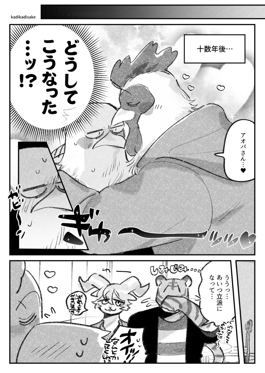 accipitrid accipitriform anthro aoba_(beastars) avian beastars bill_(beastars) bird blush bovid caprine comic dall_sheep eagle felid group hi_res japanese_text kadikadisake male mammal monochrome pantherine pina_(beastars) sheep shock_egg_chick text tiger