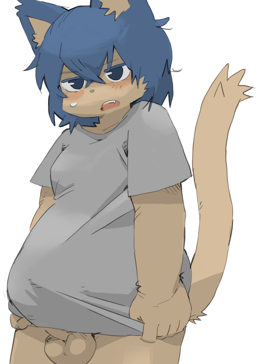 absurd_res anthro balls biped blue_eyes blue_hair blush bottomless bulge cheek_tuft clothed clothing domestic_cat erection erection_under_clothing facial_tuft fangs felid feline felis fur genitals grey_clothing grey_shirt grey_topwear hair hi_res kemono looking_at_viewer male mammal open_mouth penis shirt short_hair si_ra_ta_ma3 simple_background solo standing tenting topwear tuft white_background yellow_body yellow_fur