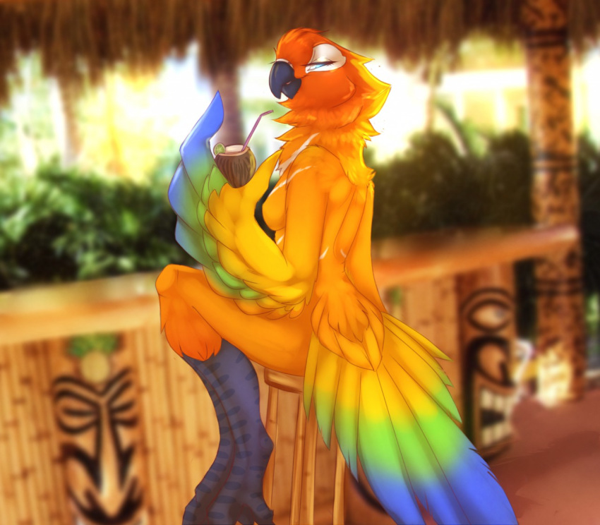 anthro avian bar beak beverage bird bird_feet breasts feathers featureless_breasts female furniture half-closed_eyes margarita narrowed_eyes non-mammal_breasts nude orange_body orange_feathers outside parakeet parrot side_boob sitting solo stool straw tail-feathers theblackvixen tropical true_parrot winged_arms wings