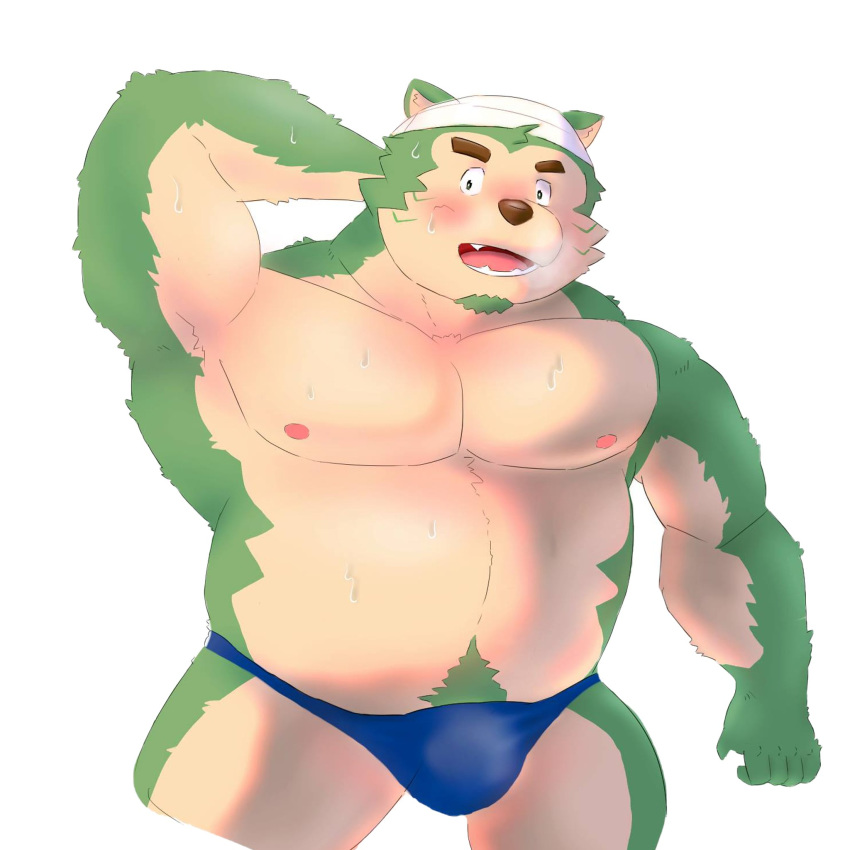 1:1 2020 anthro belly blush bodily_fluids bulge canid canine canis clothing domestic_dog fur green_body green_fur hi_res humanoid_hands kemono live-a-hero male mammal mokdai moobs nipples overweight overweight_anthro overweight_male peekeroro simple_background solo sweat underwear video_games white_background