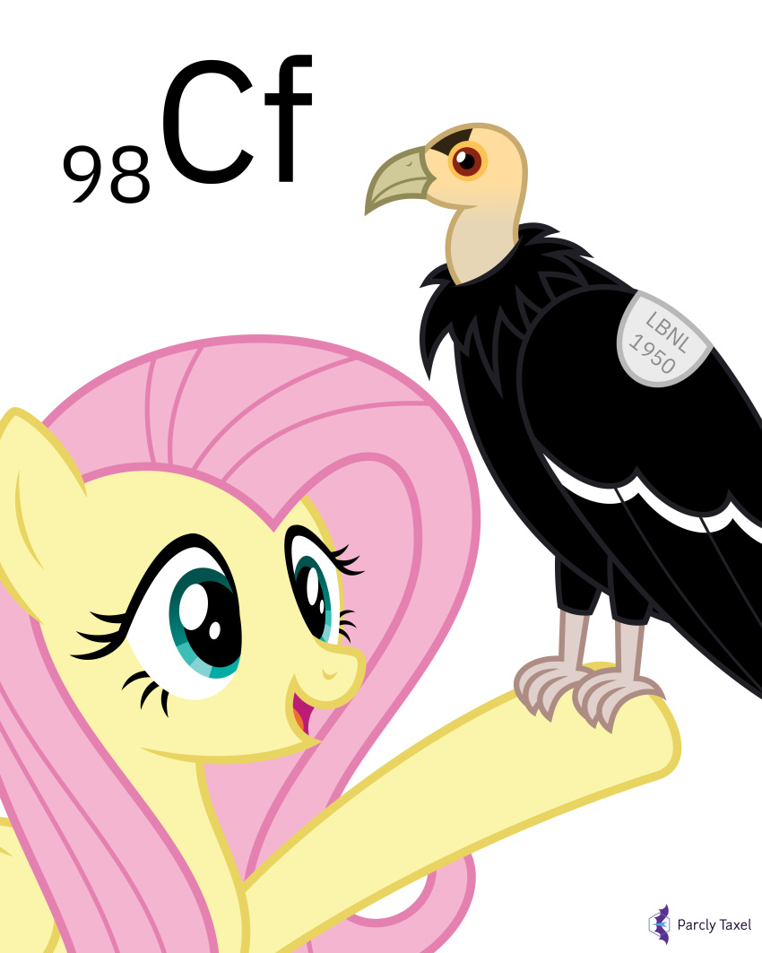 2020 4:5 absurd_res accipitriform ambiguous_gender avian bird black_body black_feathers california_condor californium duo english_text equid equine feathers female feral fluttershy_(mlp) friendship_is_magic grey_eyes hair happy hasbro hi_res mammal my_little_pony new_world_vulture open_mouth parclytaxel pegasus perching pink_hair signature simple_background smile text tracking_tag vulture white_background wings yellow_body