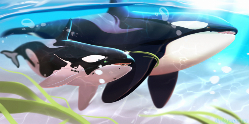 ambiguous_gender brown_eyes cetacean delphinoid dinkysaurus duo feral hi_res mammal marine oceanic_dolphin open_mouth orange_eyes orca toothed_whale underwater water