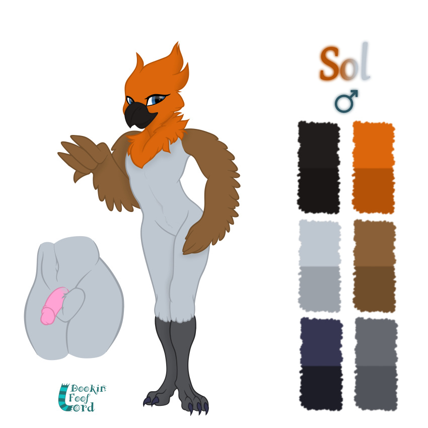 absurd_res anthro avian balls bird dookin feathers fluffy_balls genitals hi_res male model_sheet oscine passerine penis robin sol solo winged_arms wings