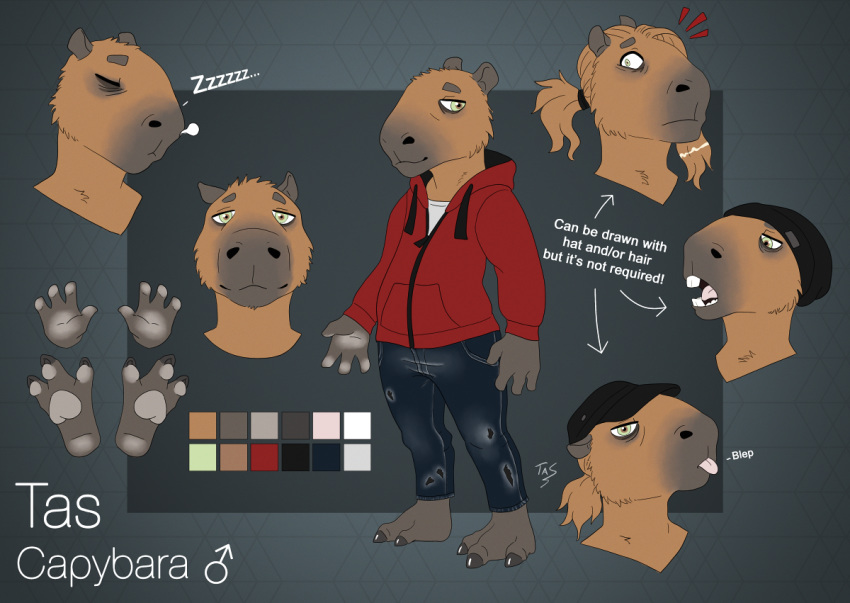 2020 3_toes 4_fingers anthro capybara caviid clothing digital_media_(artwork) fingers hoodie male mammal model_sheet open_mouth red_clothing red_hoodie red_topwear rodent smile solo tasanko teeth toes tongue topwear
