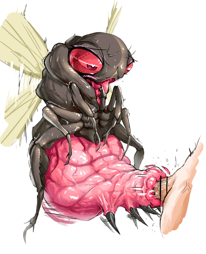 arthropod bestiality bethesda_softworks bloatfly bodily_fluids chobonolly duo erection fallout female female_penetrated feral feral_female feral_penetrated genital_fluids genitals hi_res human human_on_feral human_penetrating human_penetrating_feral humanoid_genitalia insect insect_wings insectophilia interspecies male male/female male_penetrating male_penetrating_female mammal open_mouth penetration penis pink_body pink_eyes pink_sclera sex simple_background tongue tongue_out video_games wings