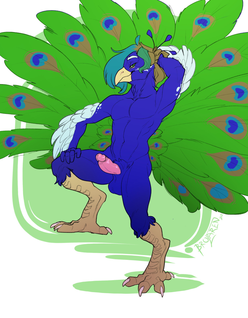 absurd_res anthro arta_aere avian balls big_tail bird brolaren digitigrade galliform genitals hair hi_res male multicolored_hair peafowl penis phasianid solo