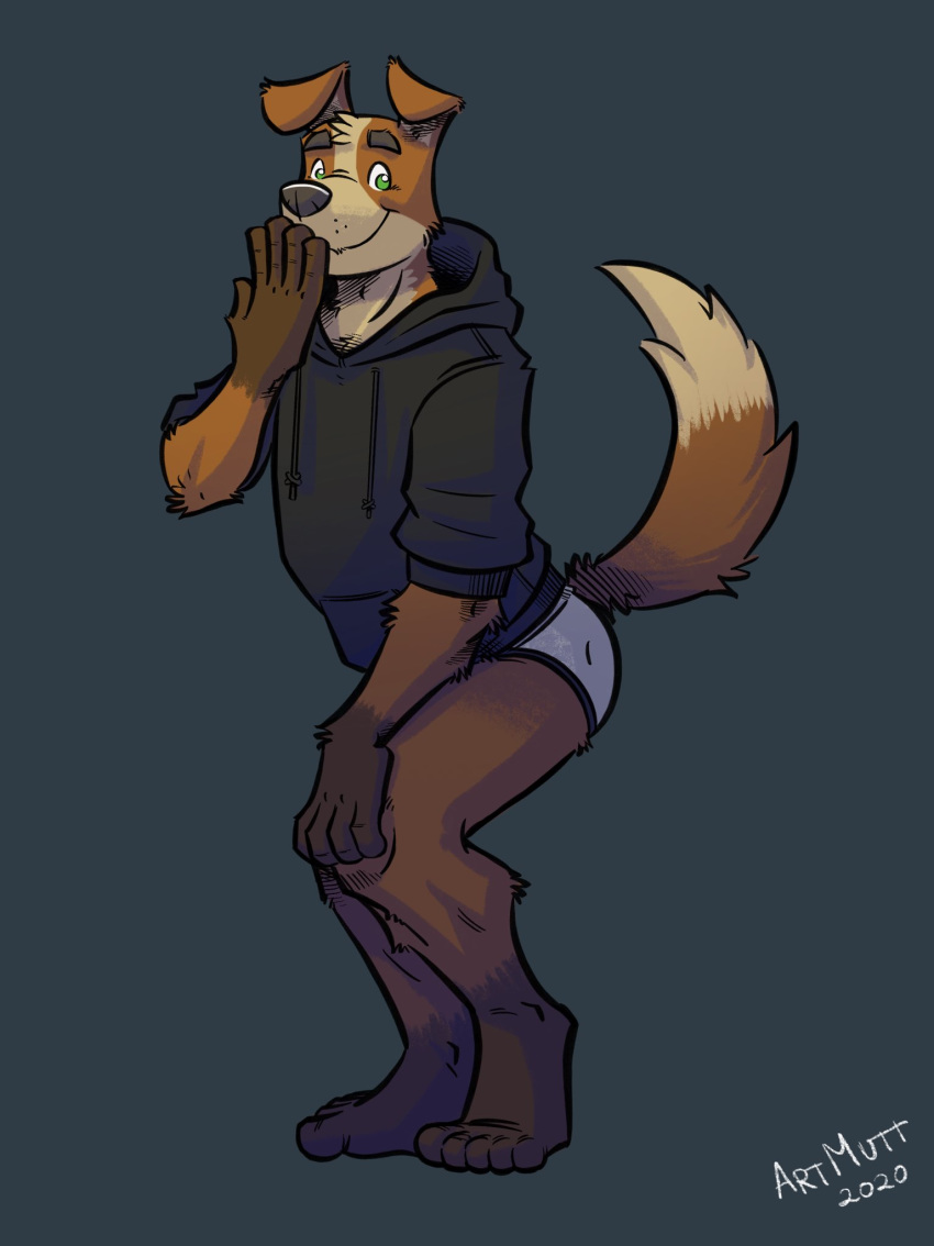 anthro black_clothing black_hoodie black_topwear briefs canid canine canis clothing domestic_dog drawyourfursona hi_res hoodie k-9 male mammal meme meme_clothing solo standing topwear underwear white_clothing white_underwear