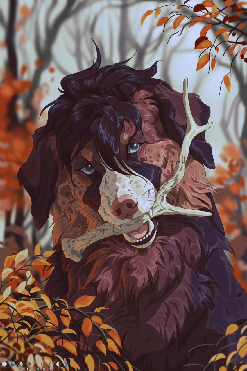2020 2:3 black_hair blue_eyes brown_body brown_fur canid canine day detailed_background digital_media_(artwork) feral forest fur hair hi_res male mammal open_mouth outside sky solo stick teeth tongue tree wavyrr whiskers