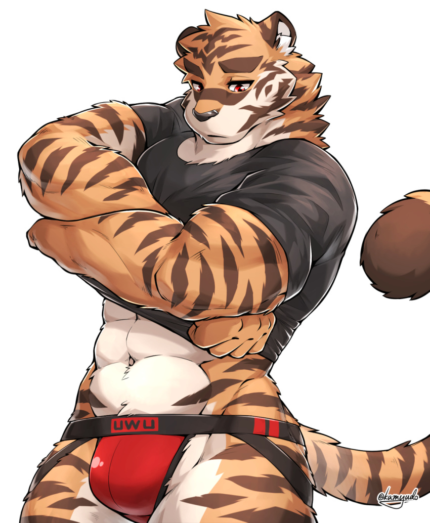 abs anthro black_clothing black_shirt black_topwear clothed clothing felid fur hi_res jockstrap kamyuelo looking_down male mammal muscular muscular_anthro muscular_male navel pantherine red_clothing red_eyes red_underwear shirt simple_background solo striped_body striped_fur stripes tiger topwear underwear undressing white_background