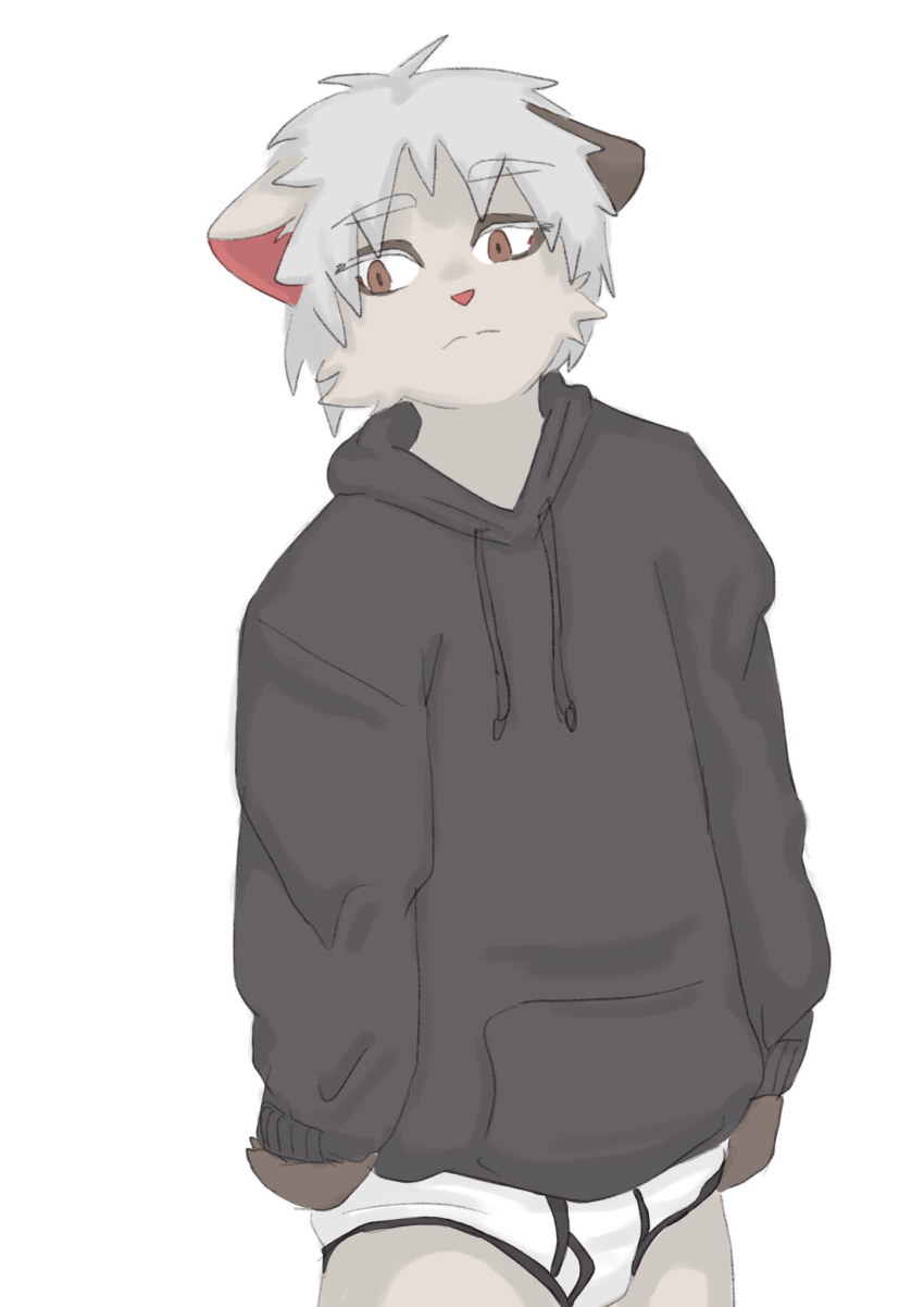 anthro ashesofaragdoll black_clothing black_hoodie black_topwear briefs clothing domestic_cat drawyourfursona felid feline felis hi_res hoodie male mammal meme meme_clothing solo standing topwear underwear white_clothing white_underwear