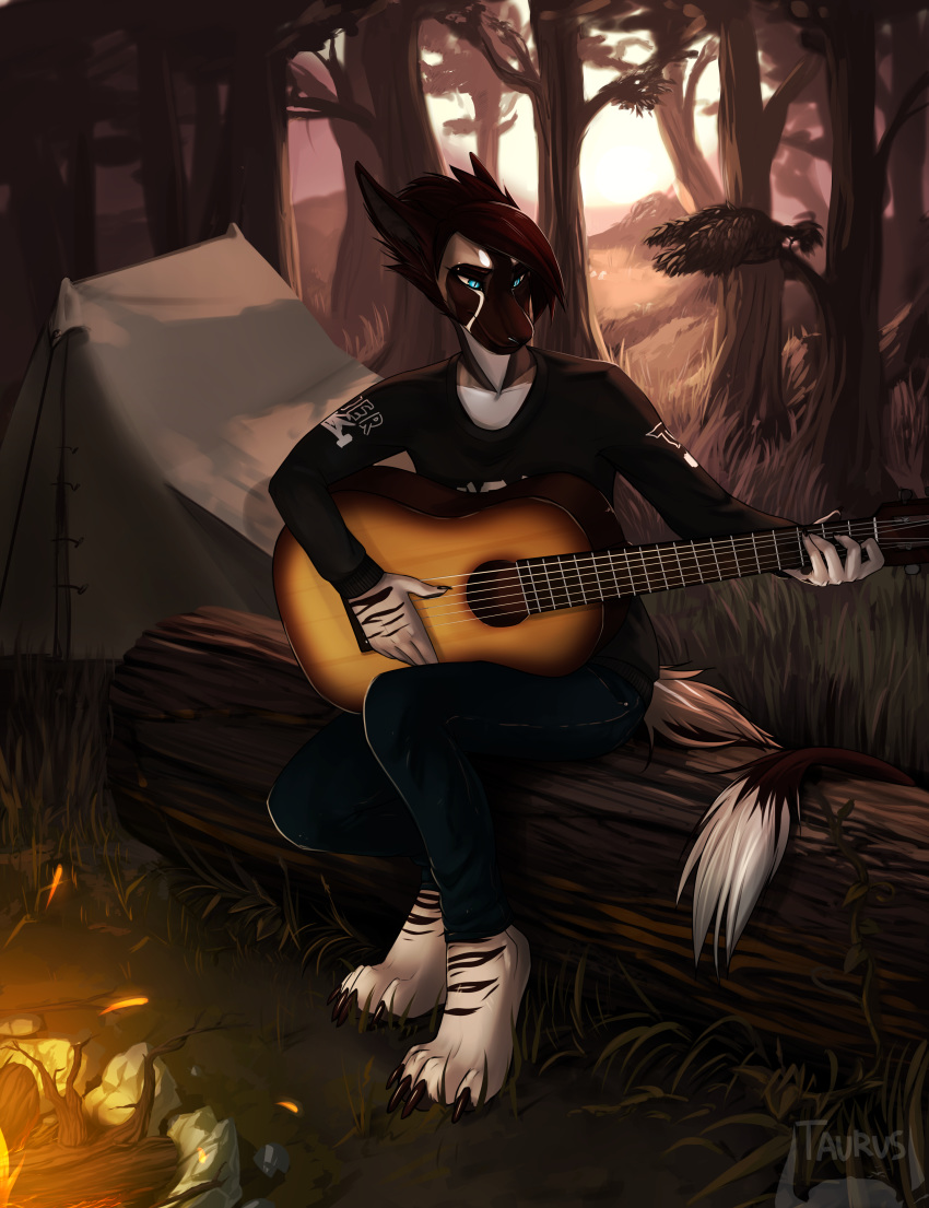 4_toes 5_fingers absurd_res ambiguous_gender anthro blue_eyes canid canine day detailed_background digital_media_(artwork) eyebrows eyelashes fingers fire forest grass hi_res mammal outside solo taurusart toes tree