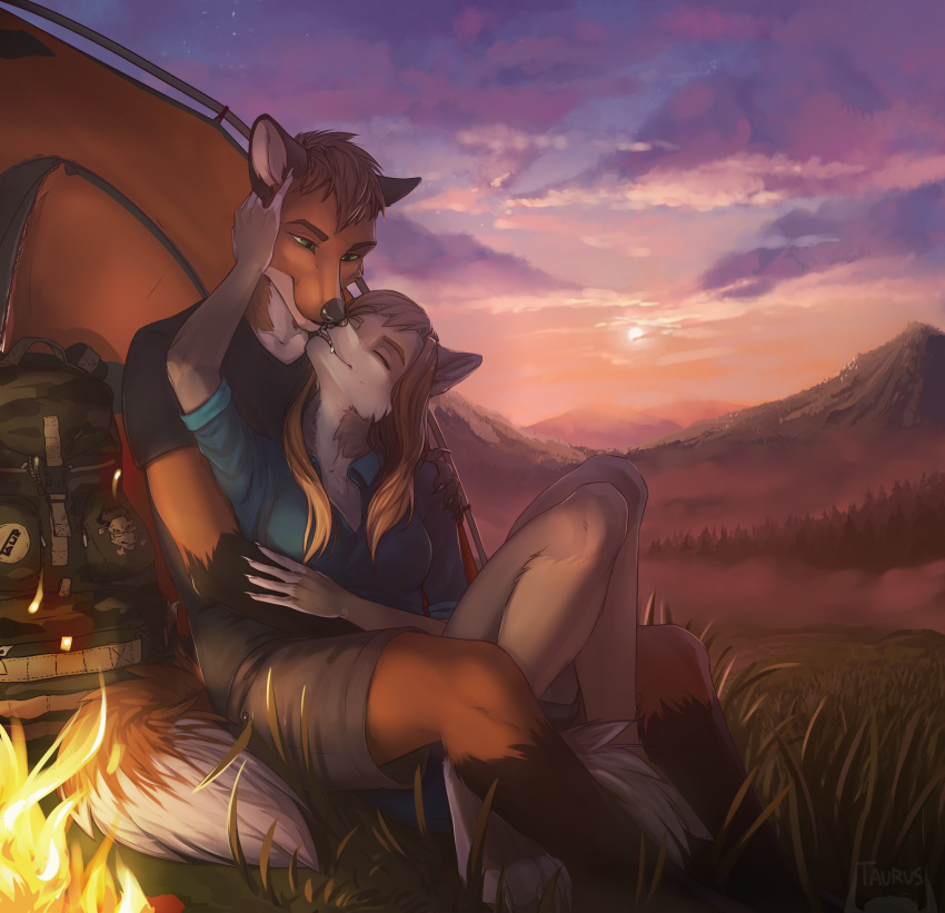 4_toes 5_fingers anthro breasts brown_hair canid canine canis clothed clothing day detailed_background digital_media_(artwork) eyebrows eyelashes female fingers fox grass green_eyes hair hi_res male mammal outside sitting sky smile taurusart toes wolf