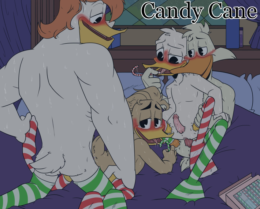 all_fours anal anal_penetration anas anatid anseriform anthro avian bedroom_setting bird bite blush christmas clothing dabbling_duck darkwing_duck disney doggystyle donald_duck duck ducktales_(2017) fenton_crackshell footwear foursome from_behind_position genitals group group_sex hands_behind_head hi_res holidays kissing launchpad_mcquack male male/male male_penetrated male_penetrating male_penetrating_male mallard neck_bite open_mouth orgy penetration penis sex socks spread_legs spreading sucking tejedora7