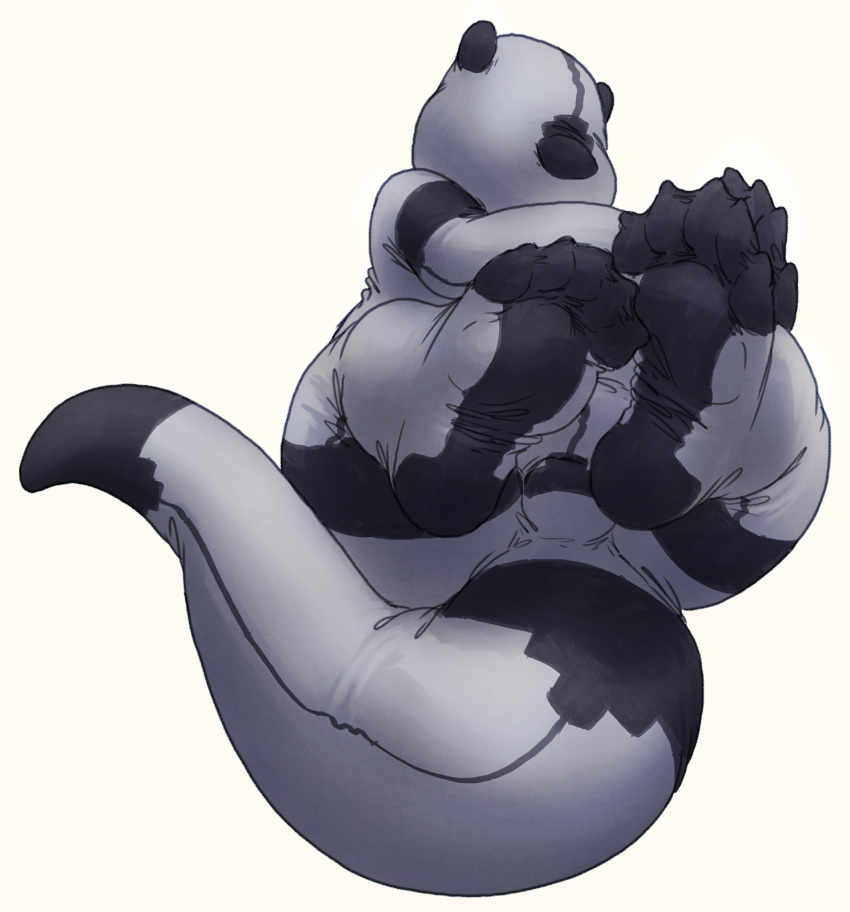 2020 anthro black_and_white bulge featureless_face foot_focus hi_res implied_transformation legs_up lutrine male mammal mao_otter monochrome mustelid nylon paws seam_(sewing) simple_background soft_shading solo stocking_critter stormdragonblue thick_tail white_background wide_hips wrinkles zentai