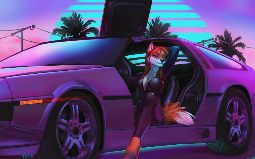 16:10 anthro black_nose breasts canid canine clothed clothing digital_media_(artwork) eyebrows eyelashes female fox hi_res mammal sitting smile solo taurusart widescreen
