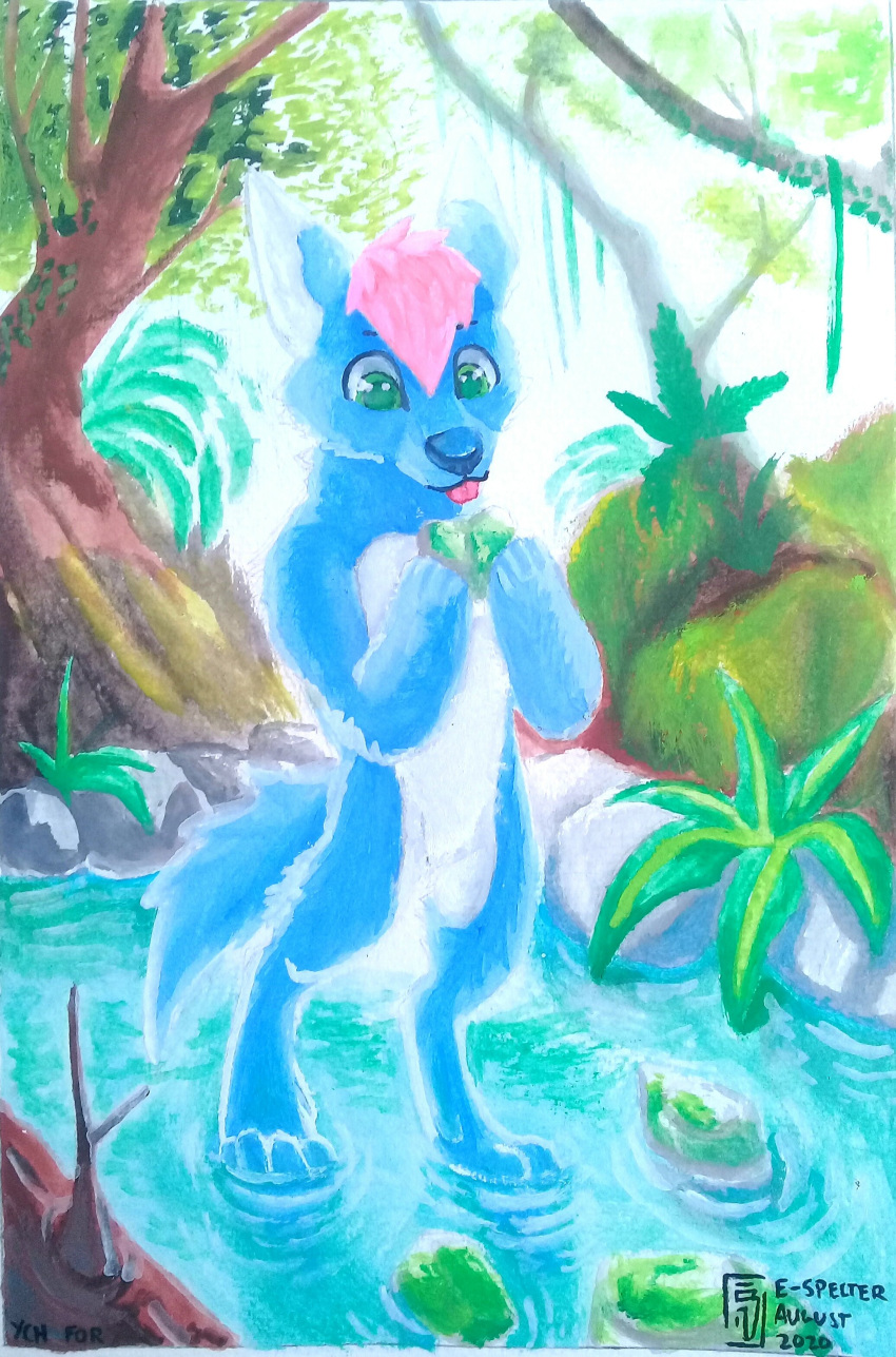 absurd_res anonymous_artist anthro blep blue_body blue_fur canid canine canis forest fur green_eyes hair hi_res holding_object male mammal painting_(artwork) pink_hair river solo tongue tongue_out traditional_media_(artwork) tree wolf