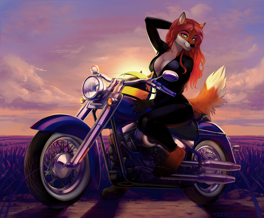 4_toes 5_fingers anthro breasts canid canine clothed clothing day detailed_background digital_media_(artwork) eyebrows eyelashes female fingers fox hi_res mammal motorcycle outside sky smile solo taurusart toes vehicle yellow_eyes